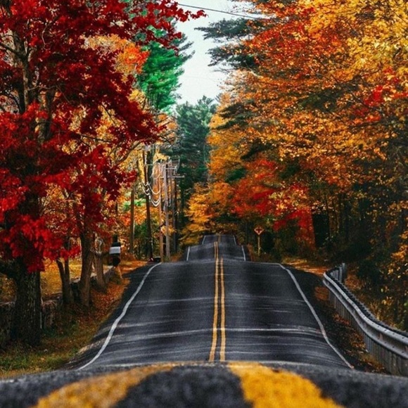 Thanks for stopping by!!  All offers welcome. - Picture 7 of 14